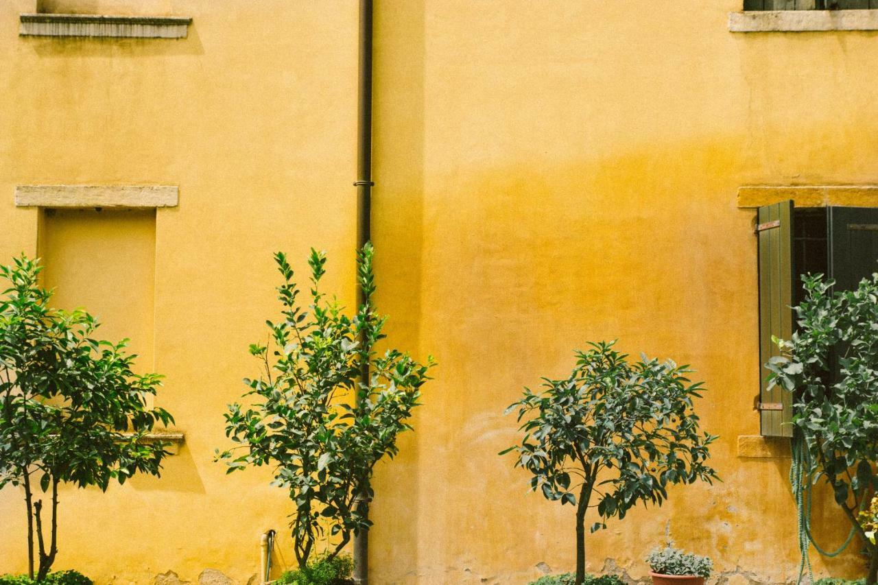 Villa Fava Montagnana  Ngoại thất bức ảnh